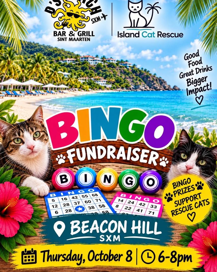 Bingo for a Cause
